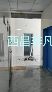 涼山彝族自治州西昌市昭覺縣人民醫(yī)院人臉識別玻璃自動感應(yīng)門